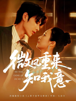 微风重来知我意（62集）每日短剧推荐