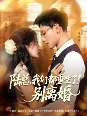 陆总我们都重生了别离婚（79集）悬疑短剧推荐