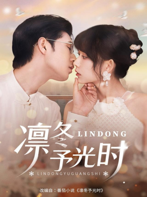 凛冬予光时（60集）每天分享短剧