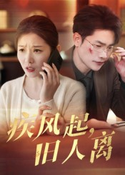 疾风起旧人离（32集）免费短剧大全