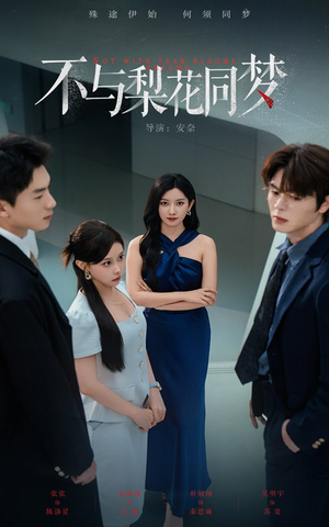 不与梨花同梦（50集）短剧在线更新