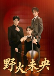 野火未央（40集）这部短剧我爱了
