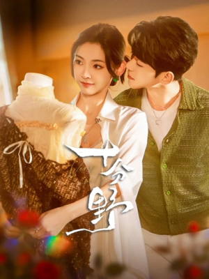 摘星予南风（73集）热门短剧推荐