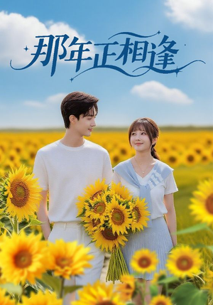 那年正相逢(60集) 那年正相逢(60集)海量短剧免费看