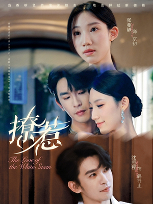 撩惹（80集）一口气看完