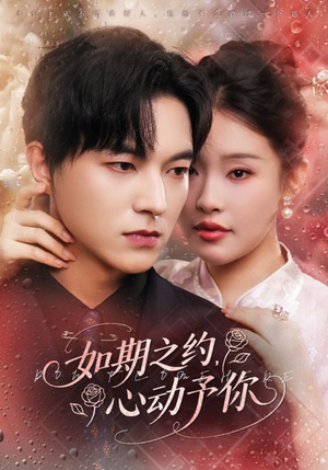 如期之约心动予你（82集）独家资源免费看