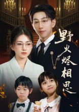 野火烬相思（61集）网盘在线观看