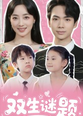 双生谜题（36集）短剧在线观看