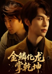 金lin化龙掌乾坤（54集）短剧在线看