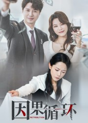 因果循环（45集）精彩好看短剧