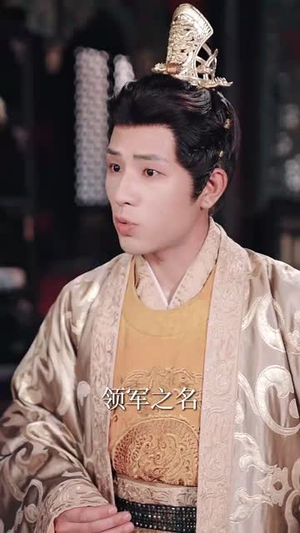 【陛下若不讲道理儿臣也略有一点兵马】54集短剧免费在线全集观影