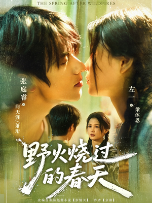 【野火烧过的春天】85集短剧免费全集观享