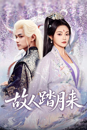 故人踏月来（60集）百度在线观看