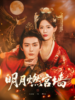 明月燃宫墙（60集）好看短剧分享