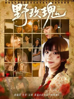 野玫瑰（82集）独家内容免费看