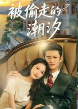【被偷走的潮汐】60集短剧免费全集网络观看