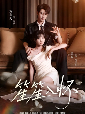 【笙笙入怀】108集短剧在线免费观览