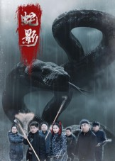 蛇影（25集）短剧热播中