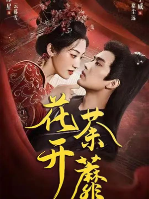 花开荼蘼（88集）短剧解说热门