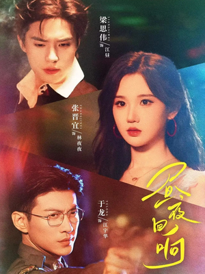 昼夜回响（76集）海量资源免费看