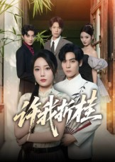 【许我折桂】70集免费短剧在线高清播放