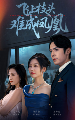 【飞上枝头难成凤凰】47集免费短剧全集速看