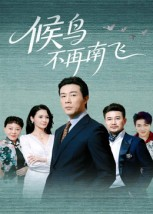 【候鸟不再南飞】80集短剧免费在线乐看