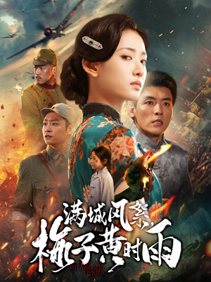 满城风絮梅子黄时雨（58集）零花钱看整部剧