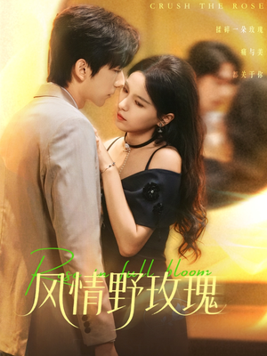 揉碎玫瑰（70集）热播古装短剧