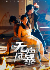 【无声风暴】33集短剧免费在线览看