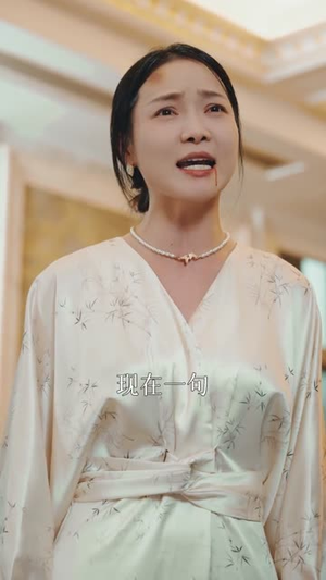 金屋藏凤（30集）完整版