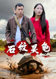 石纹灵龟（30集）热播短剧排行榜