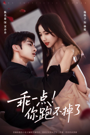 乖一点！你跑不掉了（80集）在线观看全集