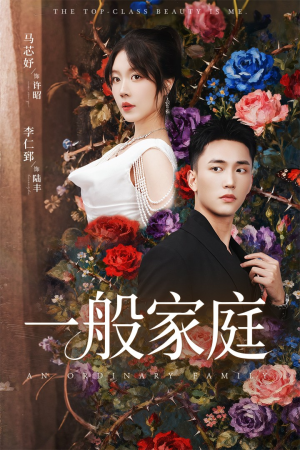 一般家庭(46集) 一般家庭(46集)全集