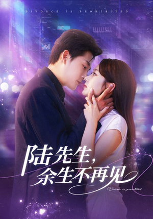 陆先生，余生不再见（88集）每天分享短剧