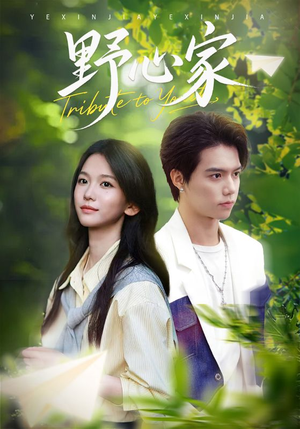 野心家（65集）今日最火短剧