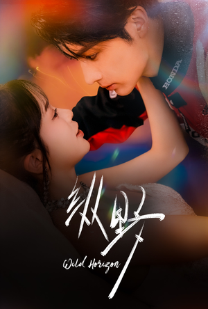 纵野（60集）精彩短剧天天看