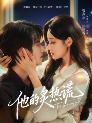 他的炙热谎（63集）好看吗