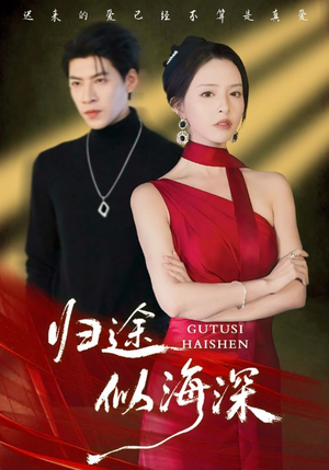 归途似海深（61集）海量资源免费看