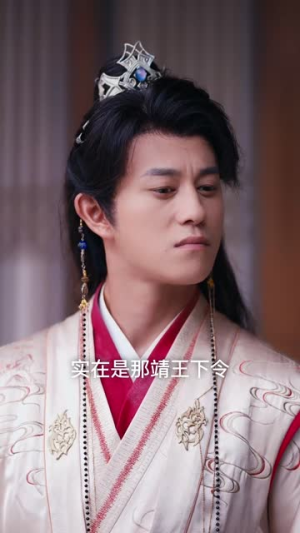 让你去和亲你在敌国登基了（65集）大结局太过瘾了