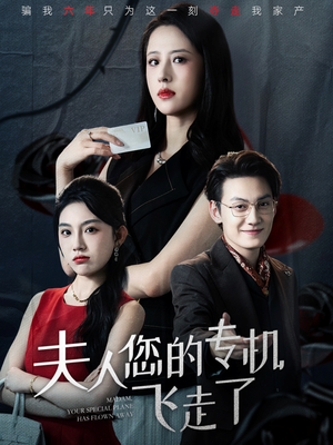 【夫人您的专机飞走了】62集免费短剧全集观看