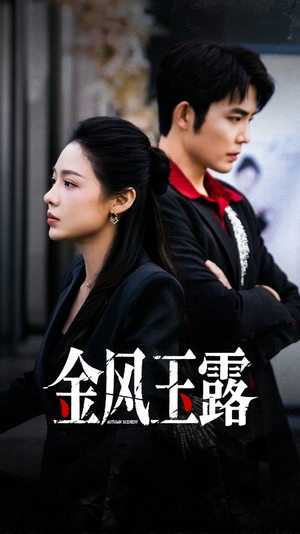 金风玉露（80集）经典老剧免费看