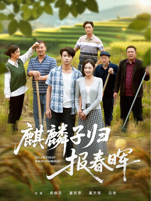 麒麟子归报春晖（36集）短剧在线观看