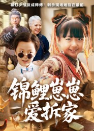 锦鲤崽崽爱拆家（80集）怎么看全集