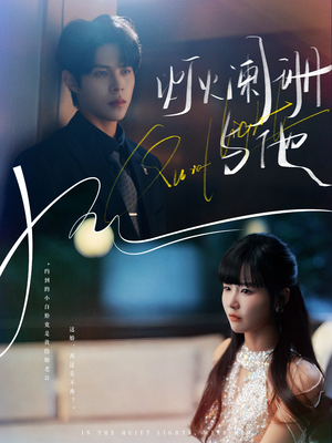 灯火阑珊与他（80集）百度网盘资源