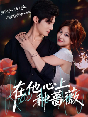 在他心上种蔷薇（81集）热播短剧抢先看