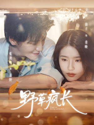 【野草疯长】71集短剧全集免费在线赏