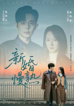 新婚慢熟（105集）全集一次看完