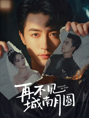 再不见城南月圆（60集）免费在线看