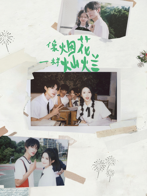 像烟花一样灿烂（60集）最火的短剧